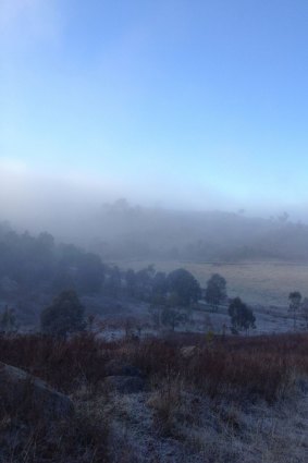 Gavin Rose's image taken on an early morning walk on Cooleman Ridge.