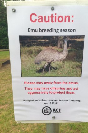 A warning sign about emus at the Cotter.