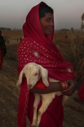 A devotee carries a baby goat as she heads to Bariyapur.