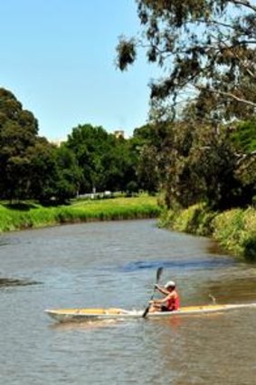 Herring Island is on the Yarra alongside Alexandra Ave.