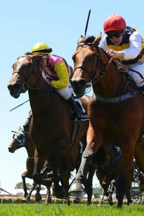 From first to last ... Ruscello, with Kerrin McEvoy aboard, wins the Lexus Stakes on Saturday ahead of Lets Make Adeal.