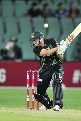 James Faulkner in action against South Africa on Wednesday.