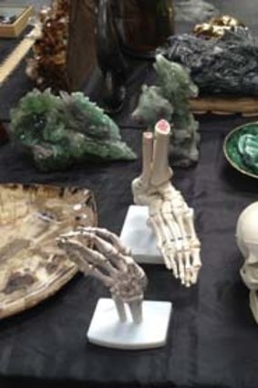 For sale: Skulls, skeletons, and other anatomical props.