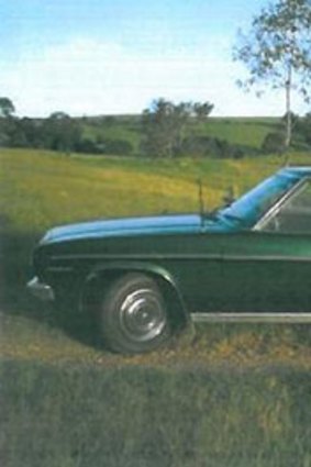 Police have released this image of a vehicle similar to the one that Michelle is believed to have been picked up in on the night of her death.