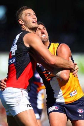 Something's up there: Essendon's Tom Bellchambers and Dean Cox of West Coast contest a boundary throw-in.