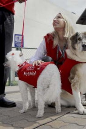 Pets helping out a Los Angeles Airport.