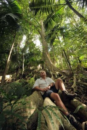 John Perkins, a member of Friends of Durras and a NSW National Parks volunteer, sits on a Strangler Fig tree in the Murramarang National Park, near Pebbly Beach.