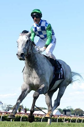 Glen Boss shows his pleasure after winning the Queen Elizabeth Stakes on Puissance De Lune.