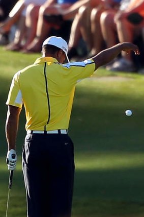 Tiger Woods drops his ball on the 15th hole.