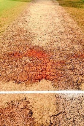 Pitch imperfect: Fairfax Media columnist Dean Jones photographed this day-five pitch at Vizag during the 2nd India-England Test last year.