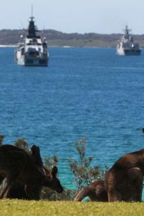 Hoo roo: Watched by a pair of kangaroos, naval ships from several countries gather in Jervis Bay before the Naval Fleet Review on Sydney Harbour.