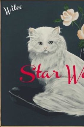 Wilco: <i>Star Wars</i>.