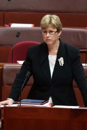 Fears for shaky compromise: Senator Christine Milne.