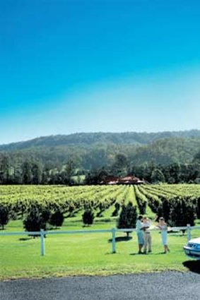 Kick back and smell the vines... O?Reilys Canungra Valley Vineyards