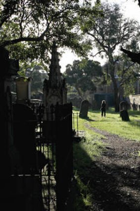 "Whisper-quiet tranquility" … Camperdown Cemetery.