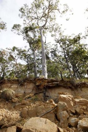 Part of a  collapsed hillside at Mt Sugarloaf.