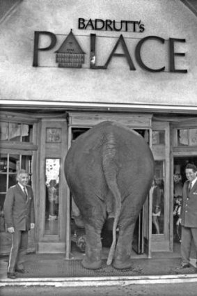 No job too big: an elephant at Badrutt's Palace in St Moritz was a birthday present for a guest.