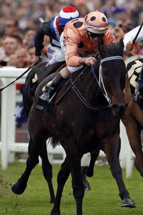 "You just don't realise how much you miss seeing her" ...  Gary Wilkie on Black Caviar, pictured.