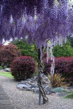 Garden delights at Priory.