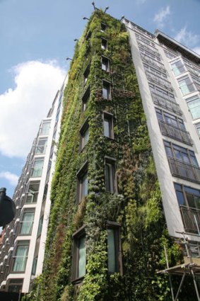 The Athenaeum's vertical garden by French botanist and designer Patrick Blanc.