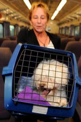 Deborah Sadler with her dog Mishka on a V/line train at Southern Cross station.