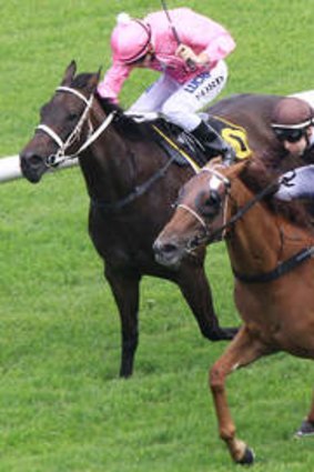 Right idea: Tommy Berry pilots Sweet Idea to victory in the Light Fingers Stakes at Randwick on Saturday.