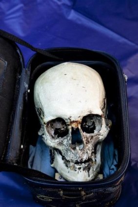 Heads up:  the skull at the centre of the investigation. It had gone missing for 30 years from 1979, and had once been thought to belong to Ned Kelly.