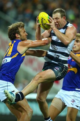 Cat gets cream: Steve Johnson marks during Geelong's win over West Coast.