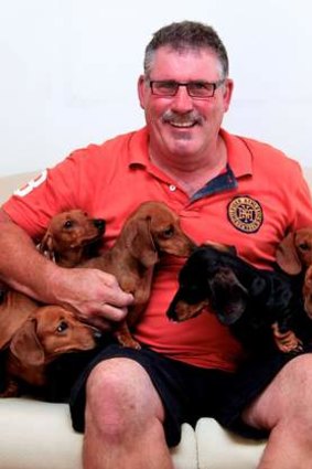 Barking mad: Paul Bevins with his nine daschunds.