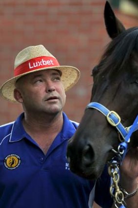 Natural &#8230; Peter Moody and Black Caviar front another media scrum this week. The freakish mare is scheduled to race at 4.30pm on Saturday at Flemington.