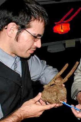 Researchers Robert DePalma (left) and David Burnham with the tooth crown of a Tyrannosaurus rex. embedded in hadrosaur vertebrae and surrounded by bone overgrowth.