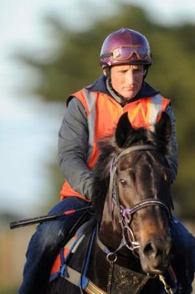Quiet return: Damien Oliver gets back in the swing of things at trackwork on Monday.