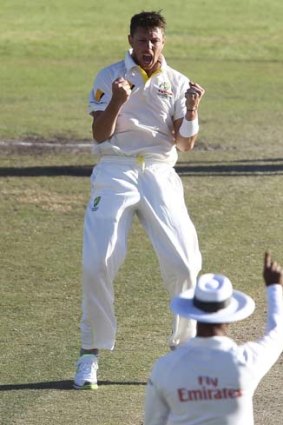 Australia's James Pattinson celebrates the wicket of South Africa's Hashim Amla during the fourth day of the third test match in Cape Town, March 4, 2014.