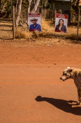 A dog strolls past election signs in Lajamanu.