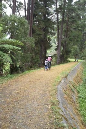 Cycling a forest trail in Warburton.