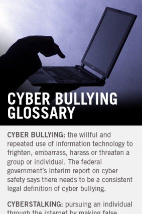 Cyber bullying glossary