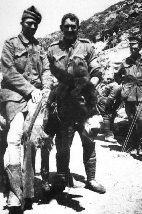 Fallen hero: Private John Simpson Kirkpatrick and his donkey assist a wounded soldier at Gallipoli.