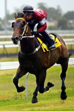 Half a lifetime ago: Fastnet Rock in his 2005 racing days before becoming a stud sensation for Ireland's Coolmore.