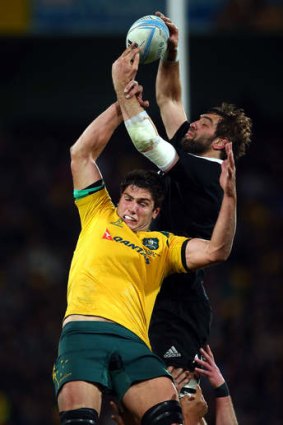 Jump to it: Wallaby Rob Simmons competes for the ball with All Black Sam Whitelock in Wellington.