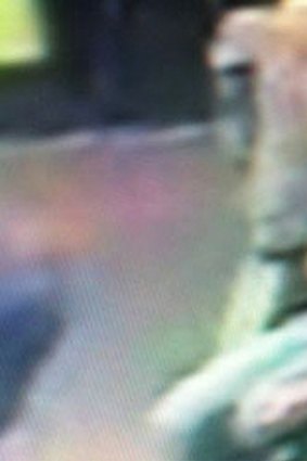 A CCTV picture published on 3AW's website.