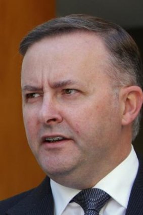 Transport Minister Anthony Albanese: 'The government wasn't sitting back doing nothing here.'