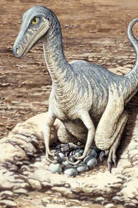 Caring: Some male fossils have been found with clutches of eggs.
