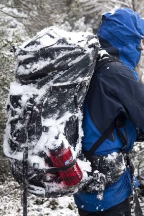 A snow-kissed walker.