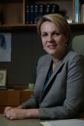 Tanya Plibersek: Decided to focus on her studies once she reached year 11.