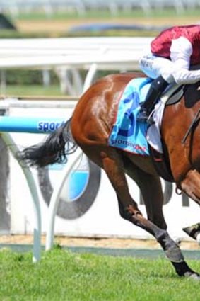 Kerrin McEvoy believes Earthquake has the class to overcome the bad draw.