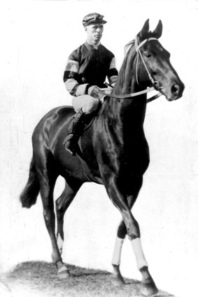 Some believe Phar Lap is the greatest race horse.