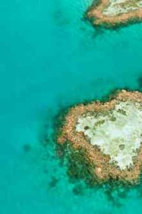 Heart reef in the Whitsundays