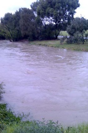 Flooded Gardiner Creek at Glen Iris.