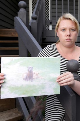 Shannon Holt with a picture of her dogs, which are impounded, suspected of killing a cat.