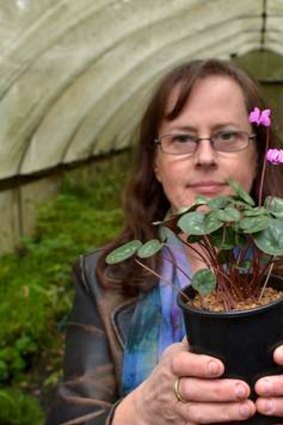 Horticulturalist and Cyclamen expert Jill Weatherhead.